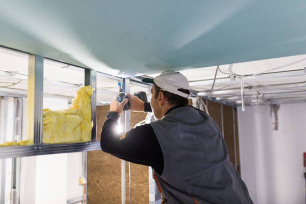 Best Blown-in Insulation in Franklinville, NJ