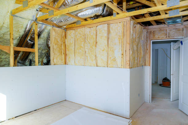 Best Eco-Friendly Insulation in Franklinville, NJ