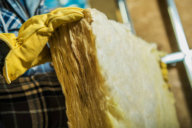 Best DIY Insulation Kits and Guidance in Franklinville, NJ